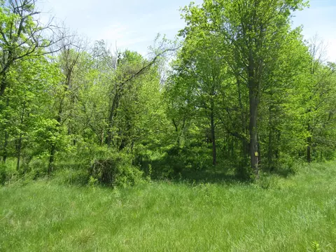 Other - 6800 Center Rd, Philo, OH 43771 photo 10 of 11