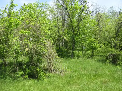 Other - 6800 Center Rd, Philo, OH 43771 photo 9 of 11