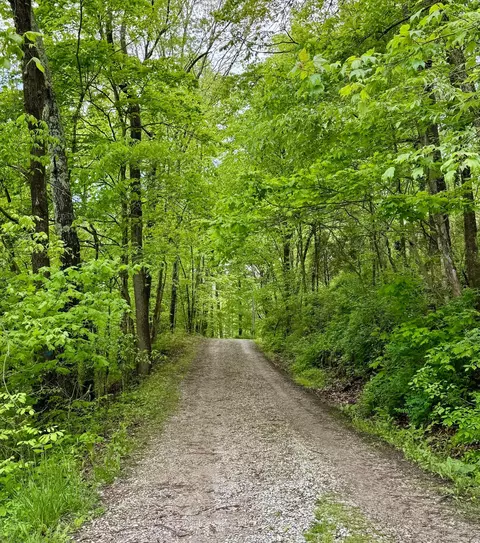 9966 Larimer Rd, Logan, OH 43138 photo 19