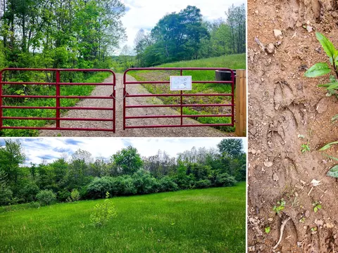 0 Sr 684 Road Apt Rd #(TRACT 6 ALBANY WOODS), Albany, OH 45710
