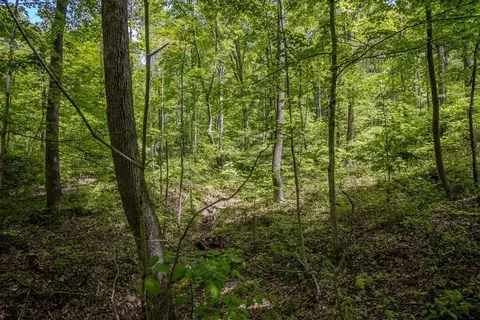 0 Kinzer Rd, Bainbridge, OH 45612