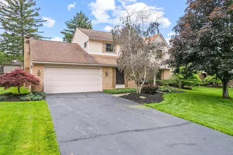 1009 Tall Tree Ct, Westerville, OH 43081
