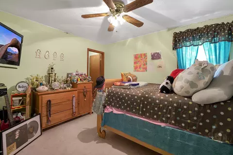 111 Beech Dr, Delaware, OH 43015 photo 29