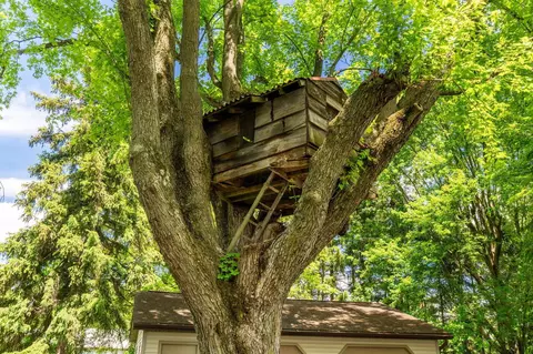 Other - 162 W Main St, Waldo, OH 43356 photo 6 of 11