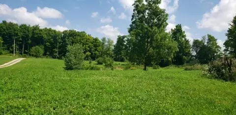 3598 Township Rd 124, Mount Gilead, OH 43338