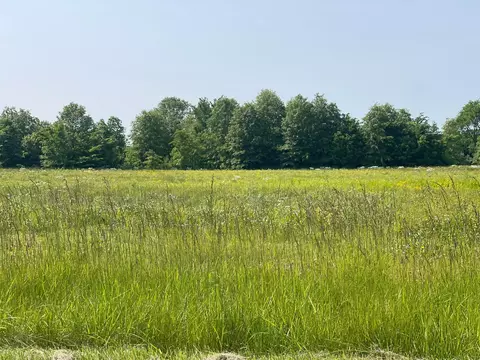 18487 Smokey Rd, Marysville, OH 43040