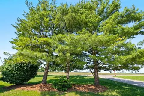 12475 Oak Dr, Orient, OH 43146 photo 32