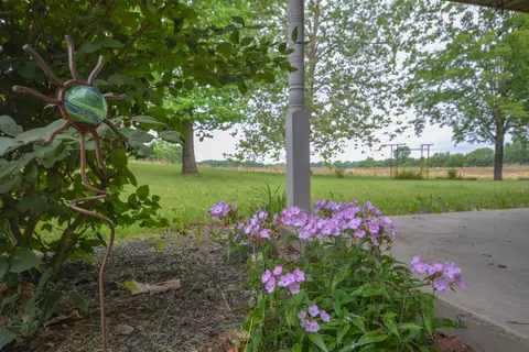 Exterior - 2987 Old Clifton Rd, Springfield, OH 45502 photo 16 of 26