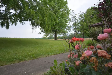 Exterior - 2987 Old Clifton Rd, Springfield, OH 45502 photo 18 of 26