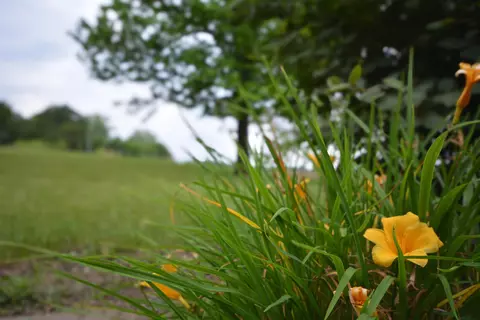 Other - 2987 Old Clifton Rd, Springfield, OH 45502 photo 10 of 13