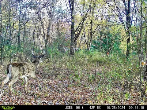 334 State Route 314, Centerburg, OH 43011