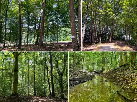 0 Wolf Hill Road Apt Rd #(TRACT 2 WOLF HILL), Mcarthur, OH 45651