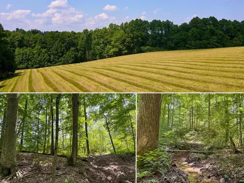 0 Wolf Hill Road Apt Rd #(TRACT 3 WOLF HILL), Mcarthur, OH 45651