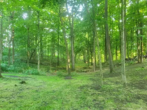24975 Coshocton Rd, Howard, OH 43028 photo 13