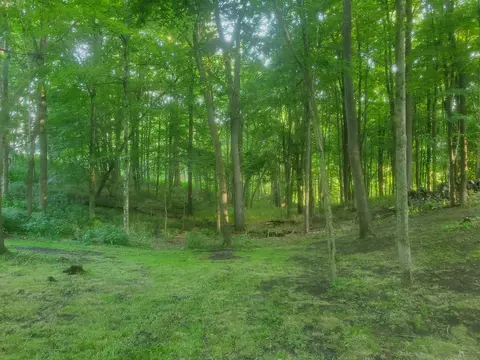 24975 Coshocton Rd, Howard, OH 43028 photo 11