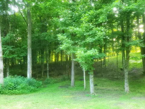 24975 Coshocton Rd, Howard, OH 43028 photo 12