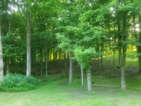24975 Coshocton Rd, Howard, OH 43028 photo 9