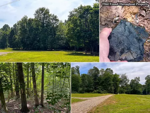 16487 Flint Ridge Rd St NE #( L WOODS INT RIDGE), Newark, OH 43055