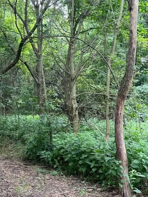 0 Ball Rd, Centerburg, OH 43011