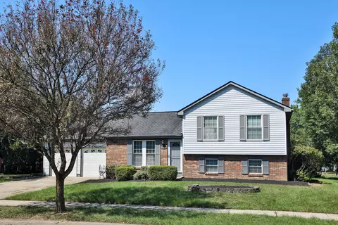 8681 Blanca Ct, Powell, OH 43065
