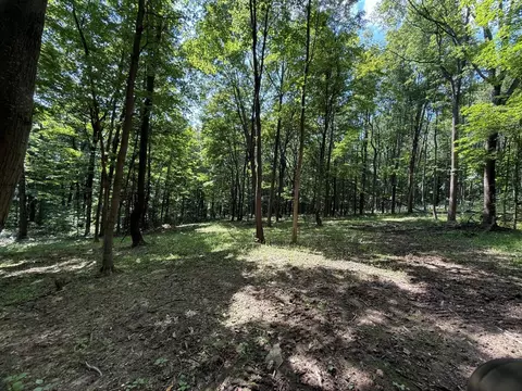 0 Schmidt Rd, Bainbridge, OH 45612 photo 7
