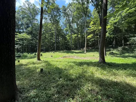 0 Schmidt Rd, Bainbridge, OH 45612 photo 6