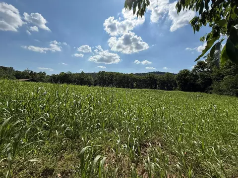 0 Schmidt Rd, Bainbridge, OH 45612 photo 11