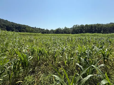 0 Schmidt Rd, Bainbridge, OH 45612 photo 27