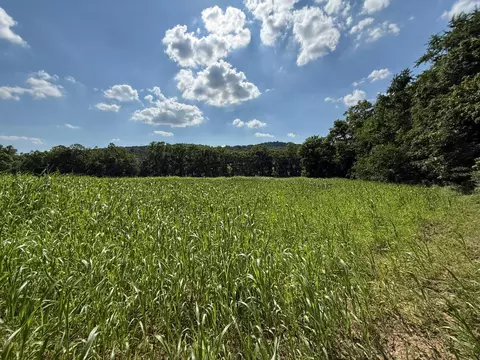 0 Schmidt Rd, Bainbridge, OH 45612 photo 12