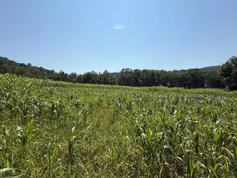 0 Schmidt Rd, Bainbridge, OH 45612 photo 26