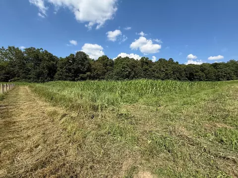 0 Schmidt Rd, Bainbridge, OH 45612 photo 15