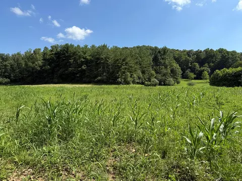 0 Schmidt Rd, Bainbridge, OH 45612 photo 10