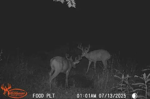 0 Schmidt Rd, Bainbridge, OH 45612 photo 36