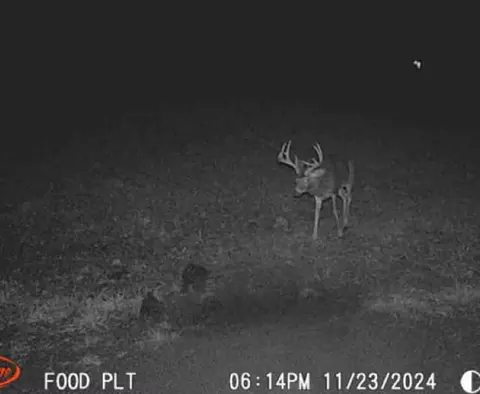 0 Schmidt Rd, Bainbridge, OH 45612 photo 35
