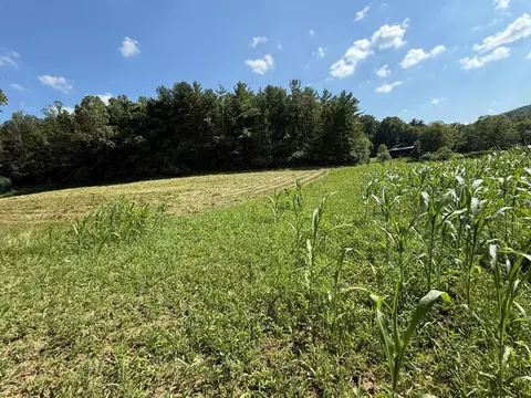 0 Schmidt Rd, Bainbridge, OH 45612 photo 8