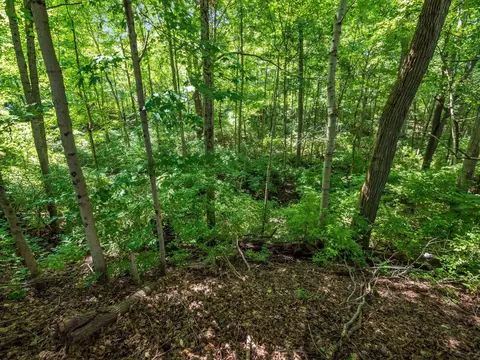 145 Saddle Tree Ct, Delaware, OH 43015 photo 54