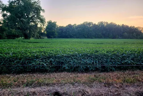 1144 Knorr Rd, Galion, OH 44833