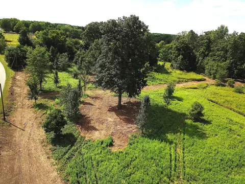 0 N Dean Rd, Ostrander, OH 43061 photo 18