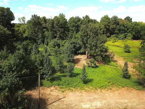 0 N Dean Rd, Ostrander, OH 43061 photo 23