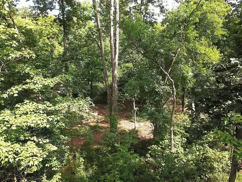 0 N Dean Rd, Ostrander, OH 43061 photo 7