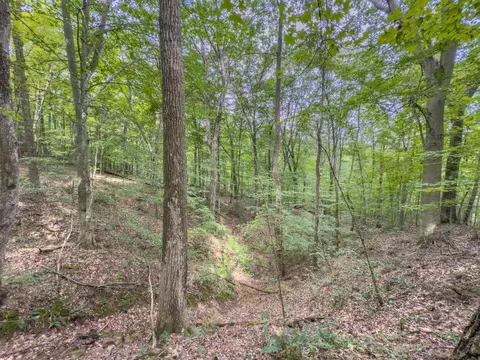 30574 Strawn Rd, Logan, OH 43138 photo 79