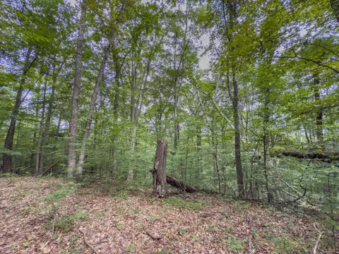 30574 Strawn Rd, Logan, OH 43138 photo 76