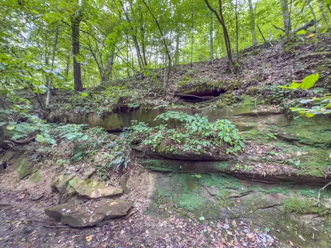 30574 Strawn Rd, Logan, OH 43138 photo 83