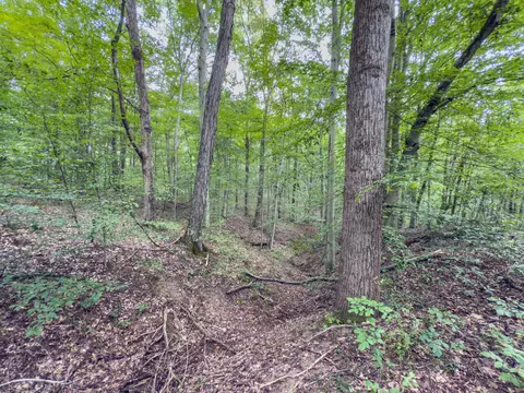 30574 Strawn Rd, Logan, OH 43138 photo 85