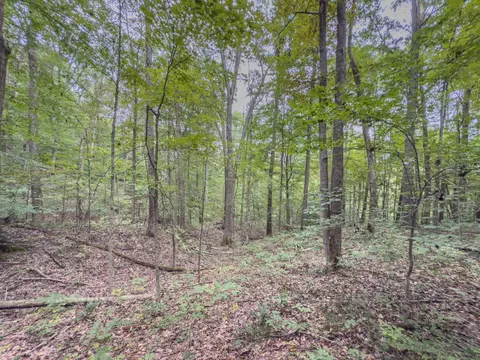 30574 Strawn Rd, Logan, OH 43138 photo 73