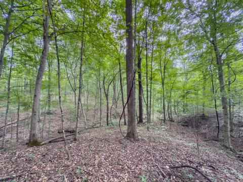 30574 Strawn Rd, Logan, OH 43138 photo 86