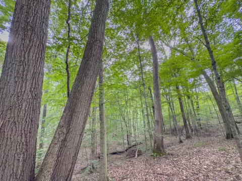 30574 Strawn Rd, Logan, OH 43138 photo 88