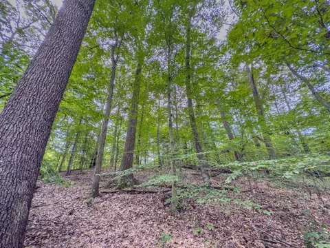 30574 Strawn Rd, Logan, OH 43138 photo 77
