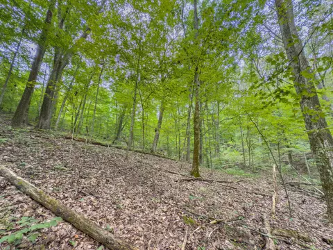 30574 Strawn Rd, Logan, OH 43138 photo 74