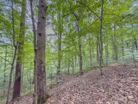 30574 Strawn Rd, Logan, OH 43138 photo 71